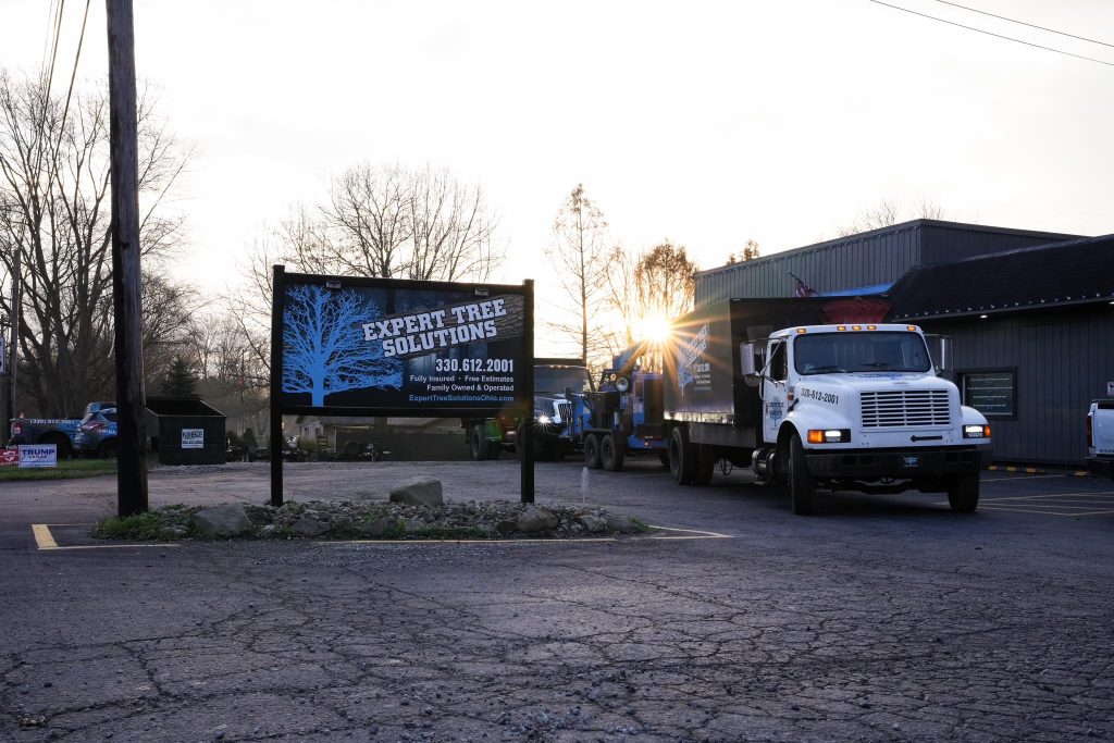 trucks in driveway