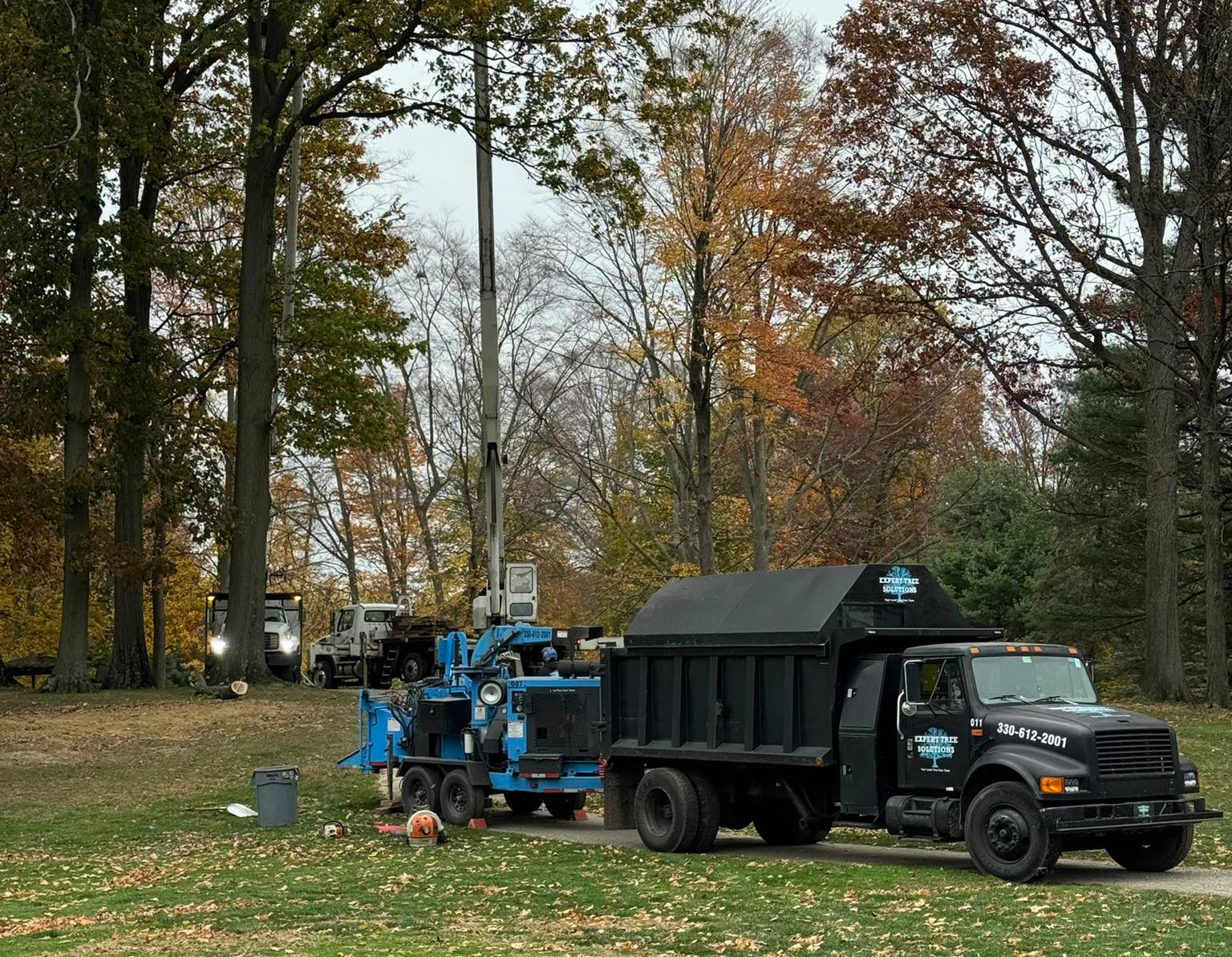commercial tree services ohio