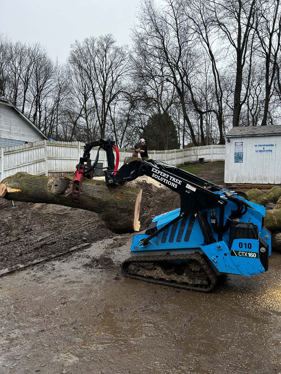 Our Tree Service Process | Expert Tree Solutions
